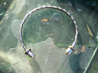 Acorn Torc (neckring)