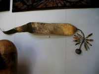 Bronze Kelp with Holdfast
