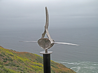 Whale Vertebra