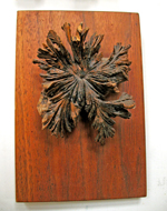 Found Object wood growth 