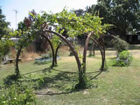 Steel Igloo Gazebo