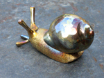 Garden Snail