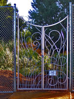 Fiddlehead Fern Gate