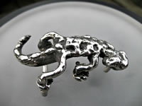 Gecko Buckle